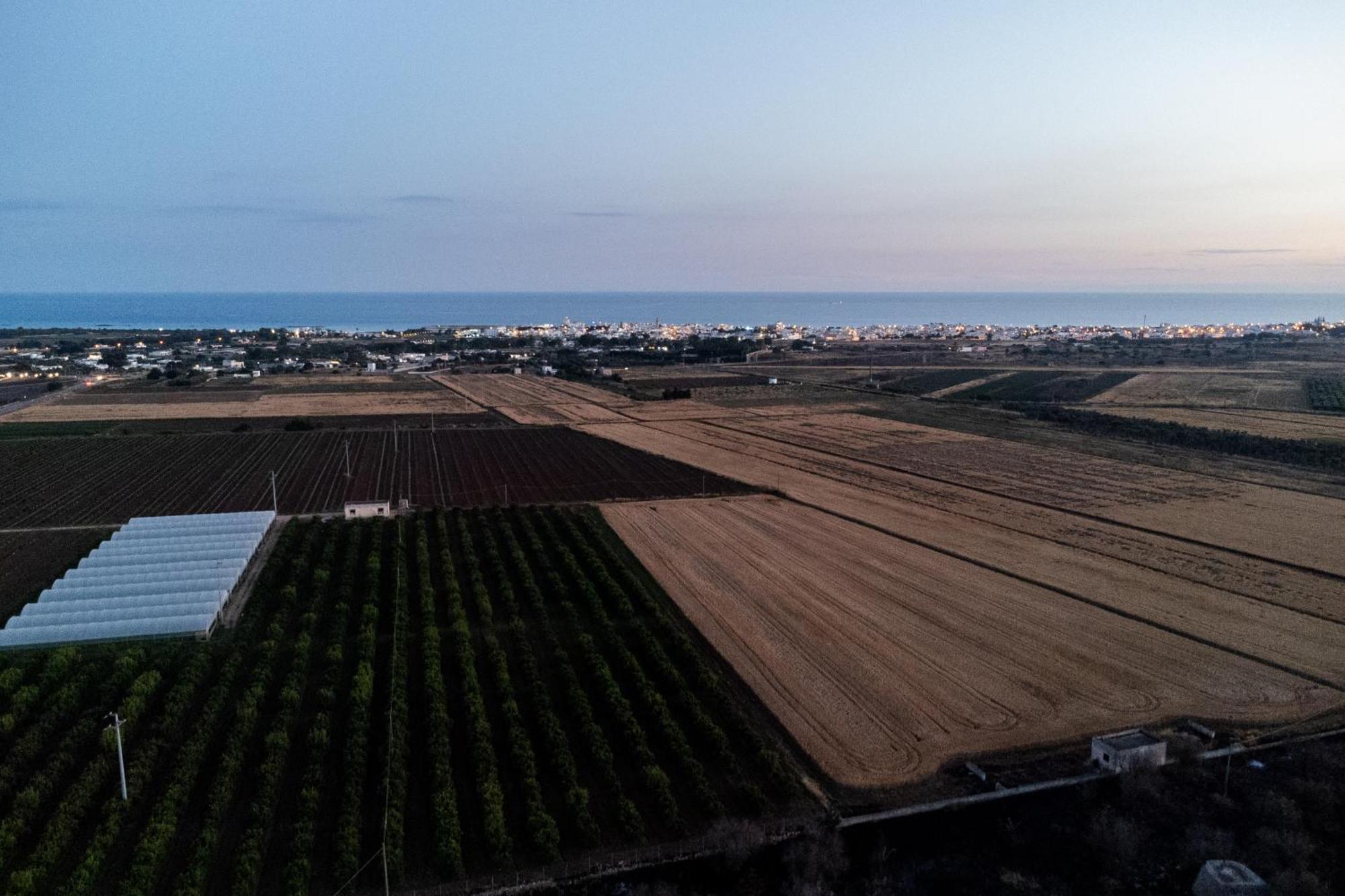 Dimora Soleda Daire Torre San Giovanni Ugento Dış mekan fotoğraf